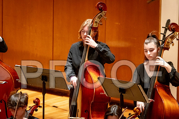 2024 University of Illinois High School Orchestra ClinicFebruary 24, 2024