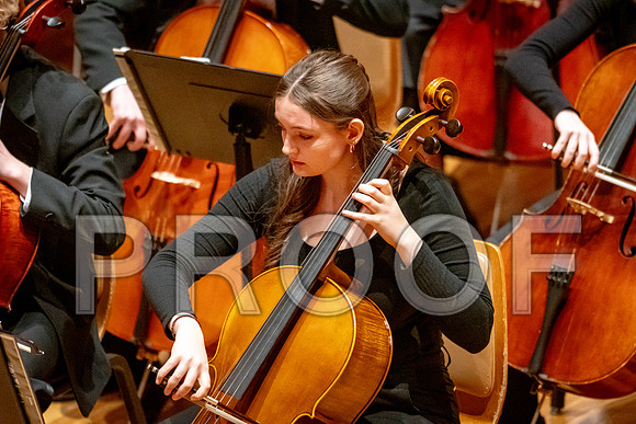2024 University of Illinois High School Orchestra ClinicFebruary 24, 2024