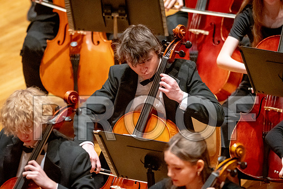 2024 University of Illinois High School Orchestra ClinicFebruary 24, 2024