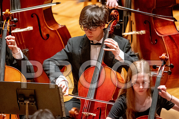 2024 University of Illinois High School Orchestra ClinicFebruary 24, 2024