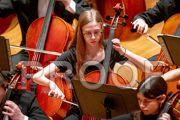 2024 University of Illinois High School Orchestra ClinicFebruary 24, 2024