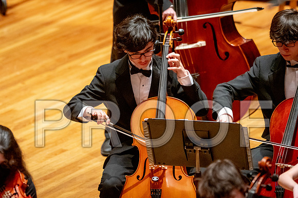2024 University of Illinois High School Orchestra ClinicFebruary 24, 2024