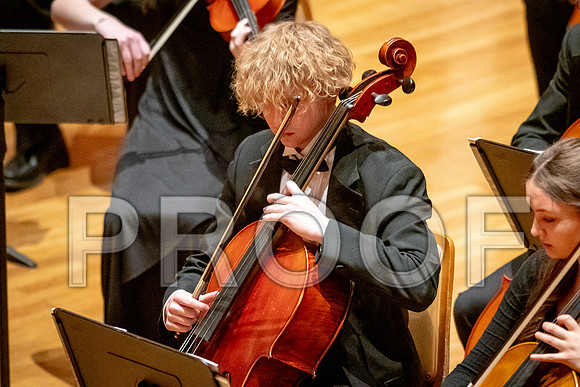 2024 University of Illinois High School Orchestra ClinicFebruary 24, 2024