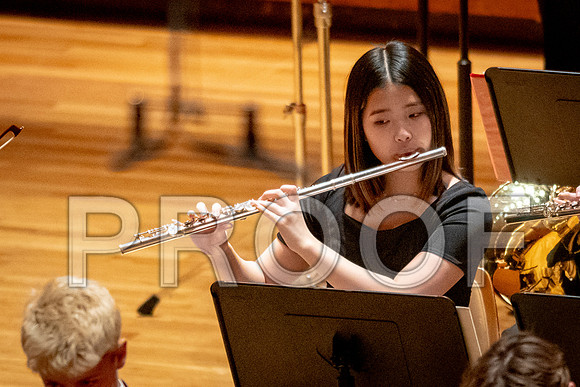 2024 University of Illinois High School Orchestra ClinicFebruary 24, 2024