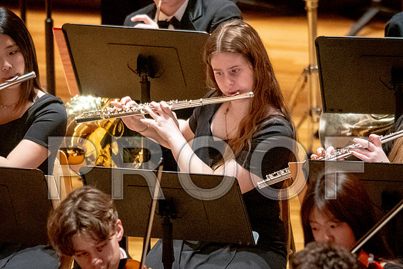 2024 University of Illinois High School Orchestra ClinicFebruary 24, 2024