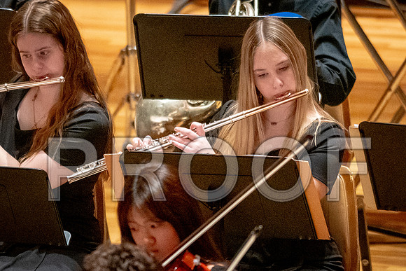 2024 University of Illinois High School Orchestra ClinicFebruary 24, 2024