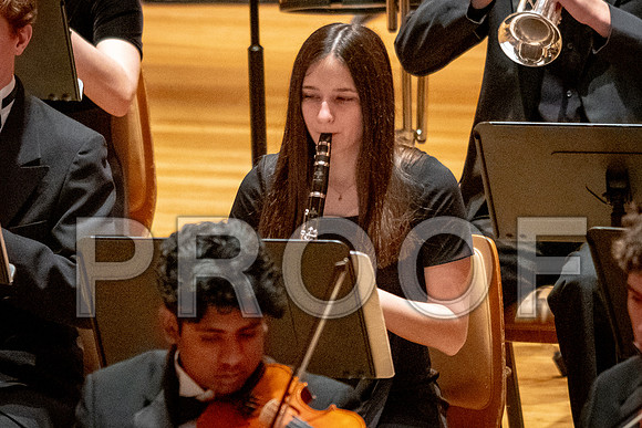 2024 University of Illinois High School Orchestra ClinicFebruary 24, 2024