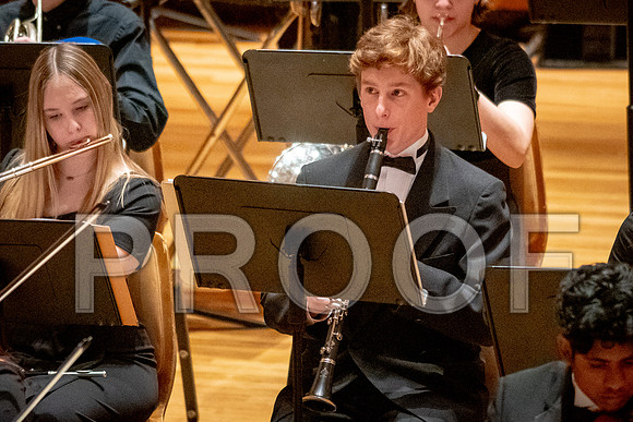 2024 University of Illinois High School Orchestra ClinicFebruary 24, 2024