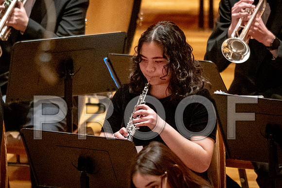 2024 University of Illinois High School Orchestra ClinicFebruary 24, 2024