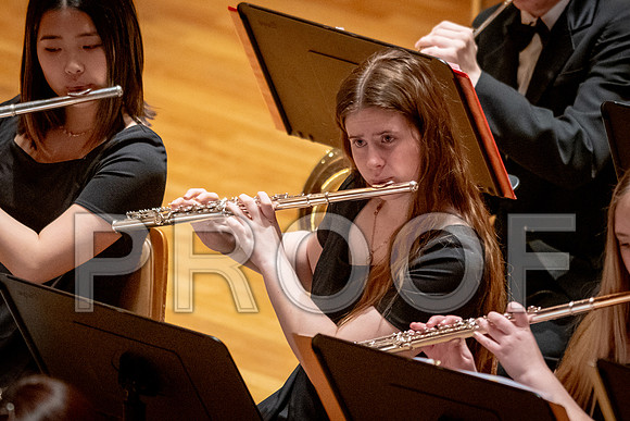 2024 University of Illinois High School Orchestra ClinicFebruary 24, 2024