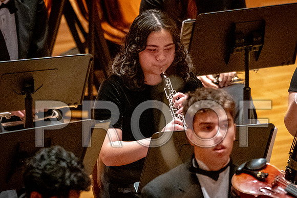 2024 University of Illinois High School Orchestra ClinicFebruary 24, 2024