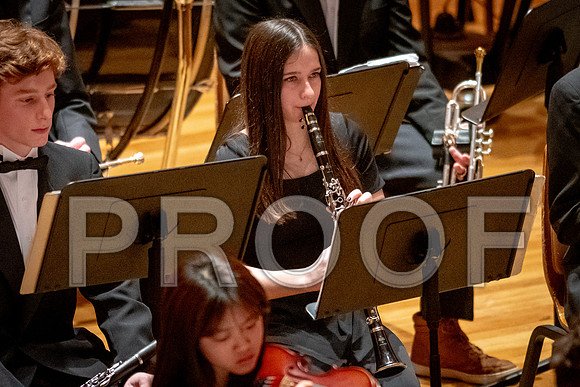 2024 University of Illinois High School Orchestra ClinicFebruary 24, 2024