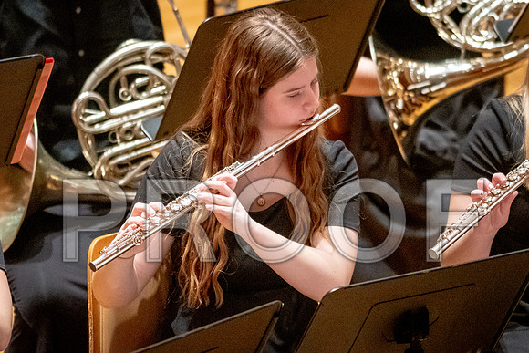 2024 University of Illinois High School Orchestra ClinicFebruary 24, 2024