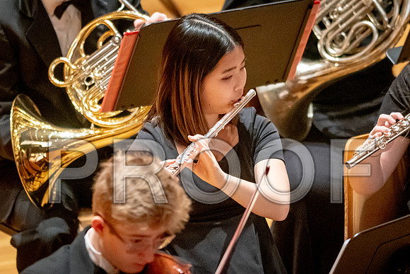2024 University of Illinois High School Orchestra ClinicFebruary 24, 2024