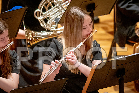 2024 University of Illinois High School Orchestra ClinicFebruary 24, 2024