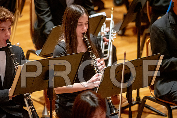 2024 University of Illinois High School Orchestra ClinicFebruary 24, 2024