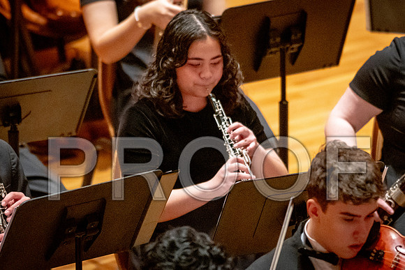 2024 University of Illinois High School Orchestra ClinicFebruary 24, 2024