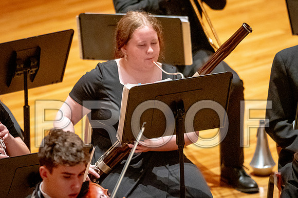2024 University of Illinois High School Orchestra ClinicFebruary 24, 2024