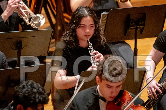 2024 University of Illinois High School Orchestra ClinicFebruary 24, 2024