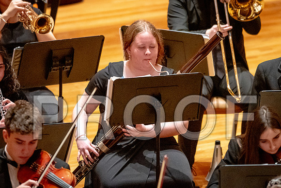 2024 University of Illinois High School Orchestra ClinicFebruary 24, 2024