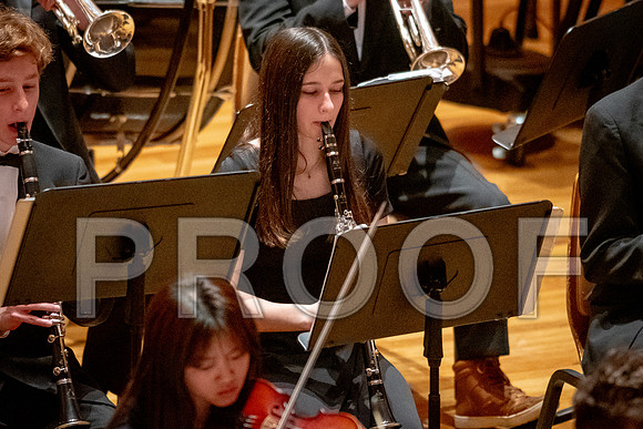 2024 University of Illinois High School Orchestra ClinicFebruary 24, 2024