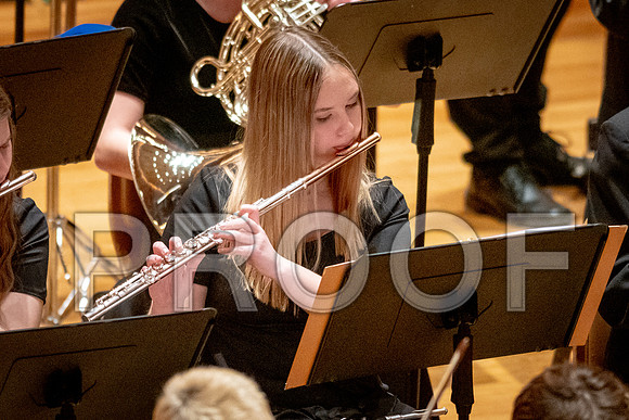 2024 University of Illinois High School Orchestra ClinicFebruary 24, 2024
