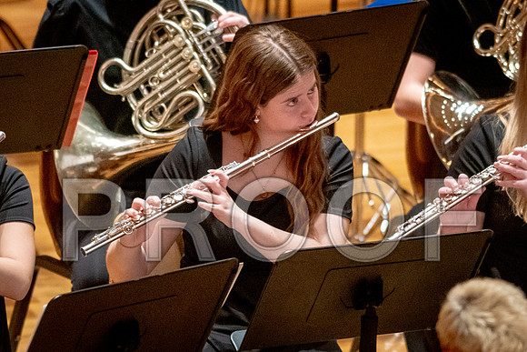 2024 University of Illinois High School Orchestra ClinicFebruary 24, 2024
