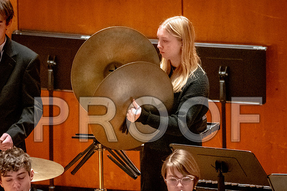 2024 University of Illinois High School Orchestra ClinicFebruary 24, 2024