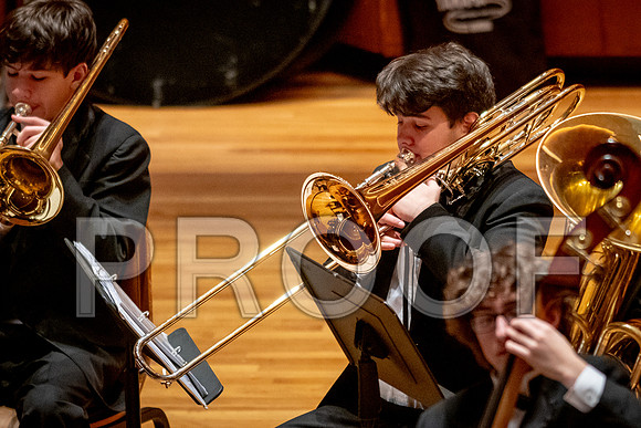 2024 University of Illinois High School Orchestra ClinicFebruary 24, 2024