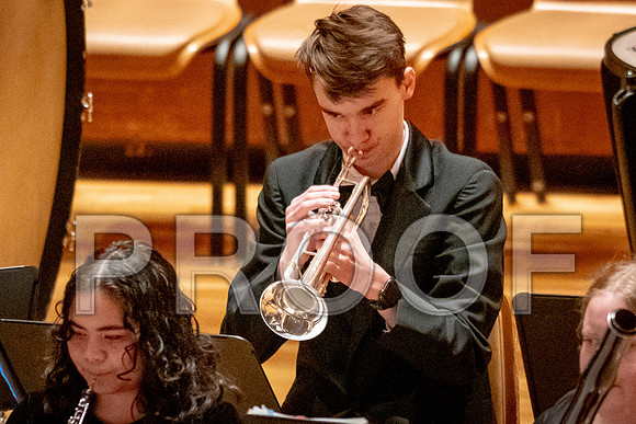 2024 University of Illinois High School Orchestra ClinicFebruary 24, 2024