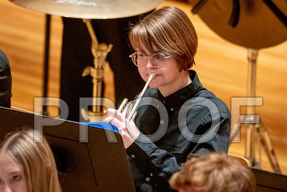 2024 University of Illinois High School Orchestra ClinicFebruary 24, 2024