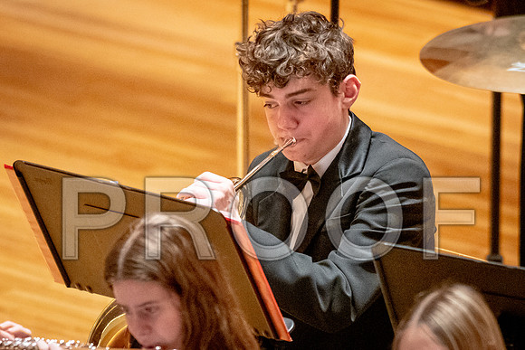 2024 University of Illinois High School Orchestra ClinicFebruary 24, 2024