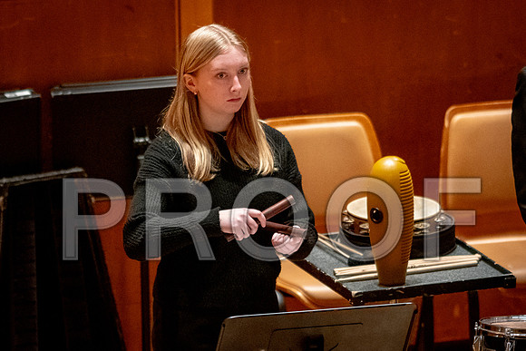 2024 University of Illinois High School Orchestra ClinicFebruary 24, 2024
