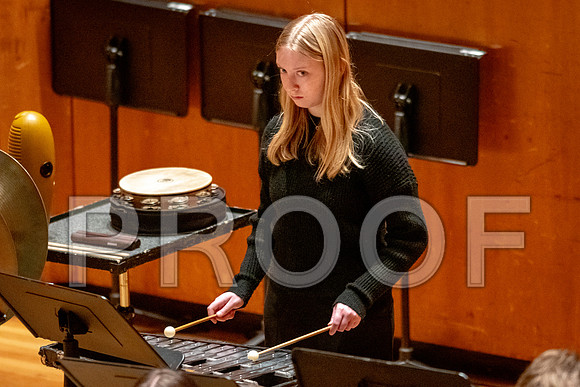 2024 University of Illinois High School Orchestra ClinicFebruary 24, 2024
