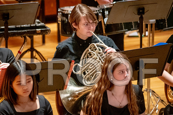 2024 University of Illinois High School Orchestra ClinicFebruary 24, 2024