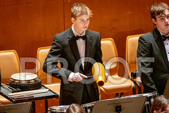 2024 University of Illinois High School Orchestra ClinicFebruary 24, 2024