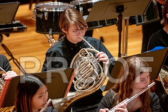 2024 University of Illinois High School Orchestra ClinicFebruary 24, 2024