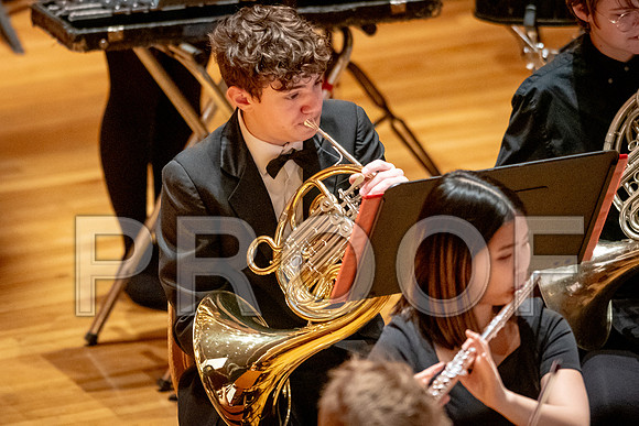2024 University of Illinois High School Orchestra ClinicFebruary 24, 2024
