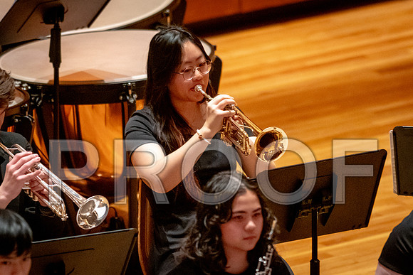2024 University of Illinois High School Orchestra ClinicFebruary 24, 2024