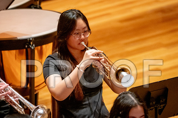 2024 University of Illinois High School Orchestra ClinicFebruary 24, 2024