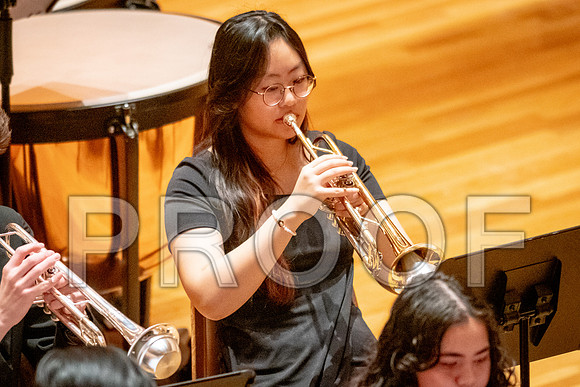 2024 University of Illinois High School Orchestra ClinicFebruary 24, 2024