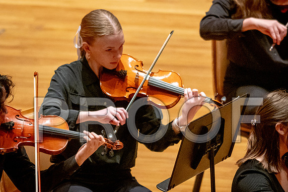 2024 University of Illinois High School Orchestra ClinicFebruary 24, 2024