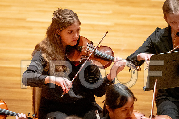 2024 University of Illinois High School Orchestra ClinicFebruary 24, 2024