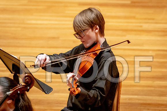 2024 University of Illinois High School Orchestra ClinicFebruary 24, 2024
