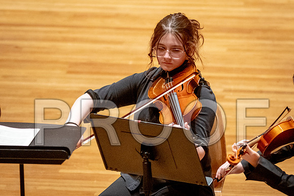 2024 University of Illinois High School Orchestra ClinicFebruary 24, 2024