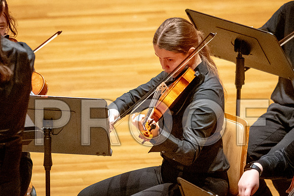 2024 University of Illinois High School Orchestra ClinicFebruary 24, 2024