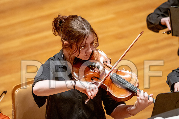 2024 University of Illinois High School Orchestra ClinicFebruary 24, 2024