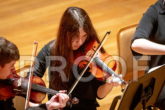 2024 University of Illinois High School Orchestra ClinicFebruary 24, 2024