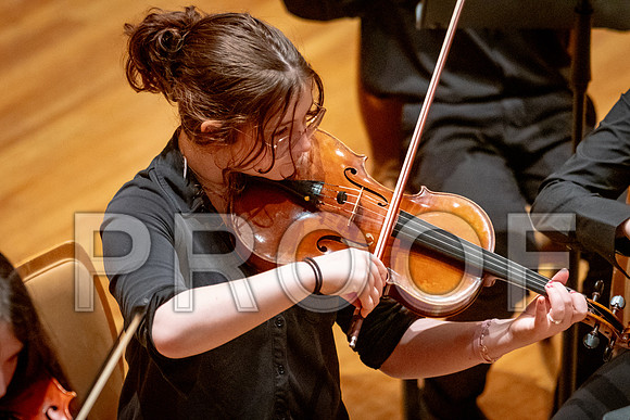 2024 University of Illinois High School Orchestra ClinicFebruary 24, 2024
