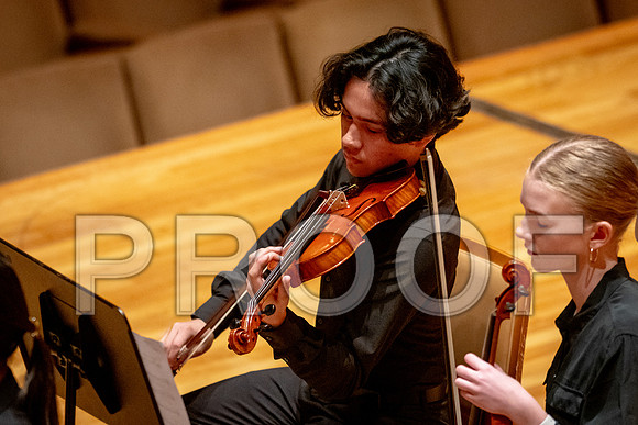 2024 University of Illinois High School Orchestra ClinicFebruary 24, 2024